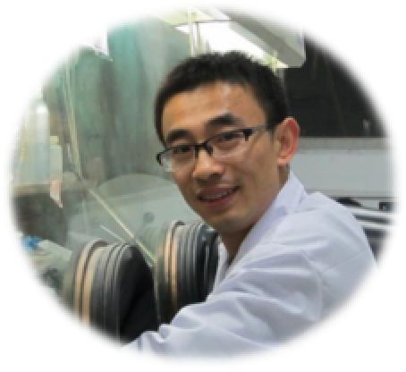 锂电池正极材料上市公司解析，行业前沿与领军企业探秘