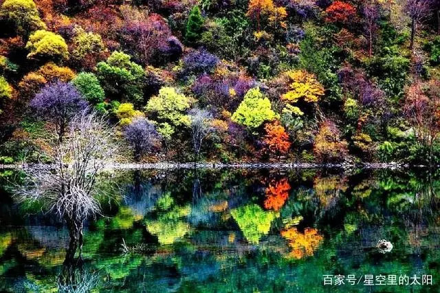 小良药资讯，探索自然美景的旅行，寻觅内心平和之地