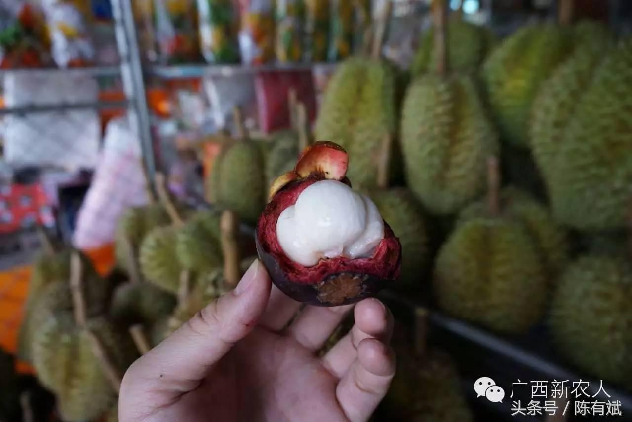 榴莲干批发价格的深度探讨与观点阐述