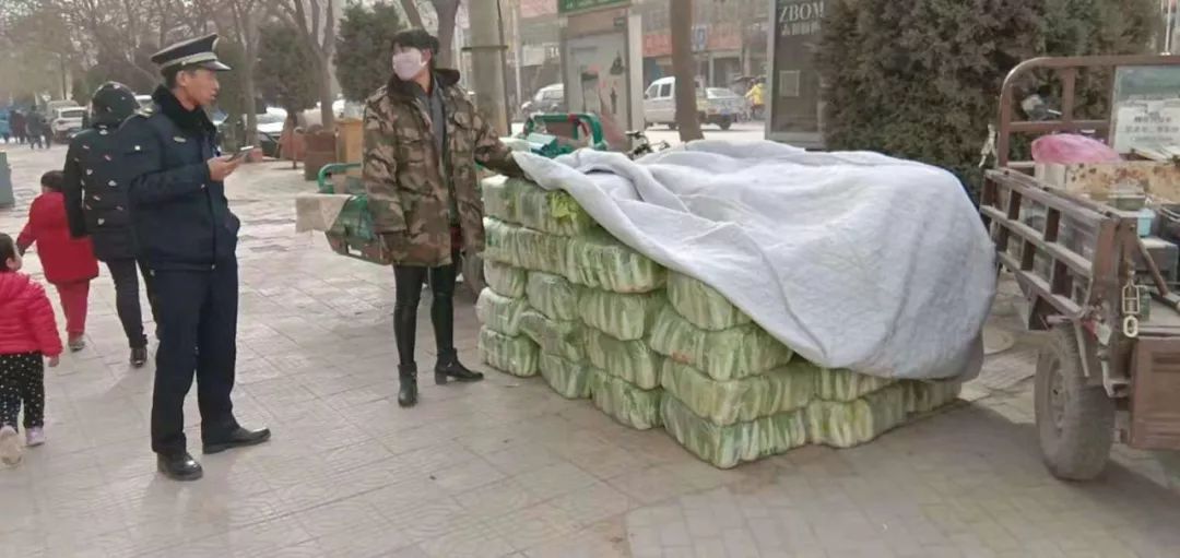 程琳张世豪最新动态揭秘，三大要点深度解析