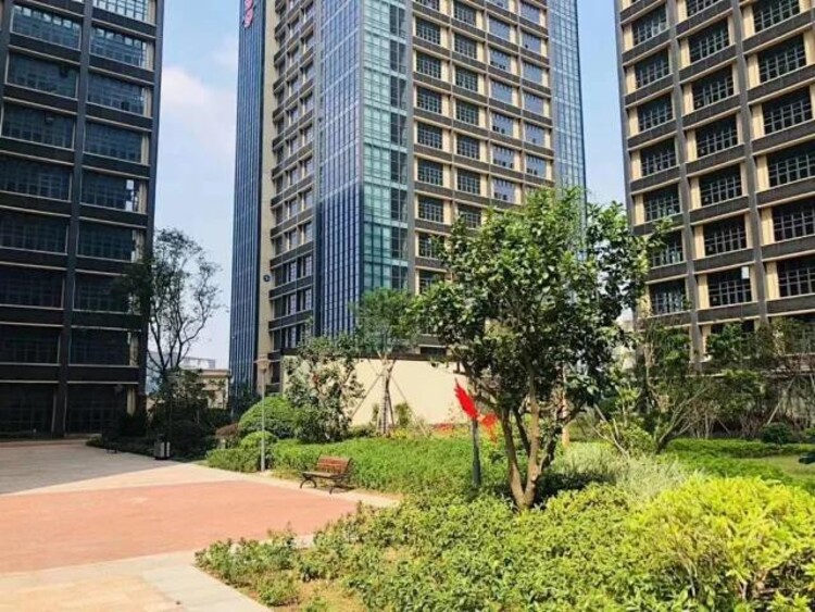 龙景花园最新房价指南，全面解析与步骤详解