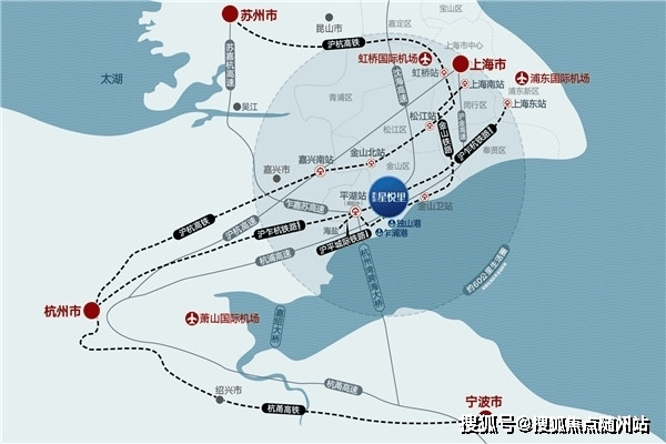 山东禽流感最新动态，一种观点分析及其影响