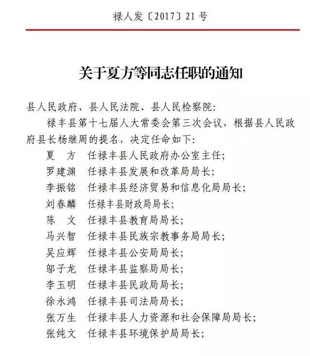 双柏县最新人事任免动态及观点论述