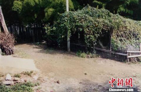 广东逃犯最新进展，变化的力量与自信的成就成就之路