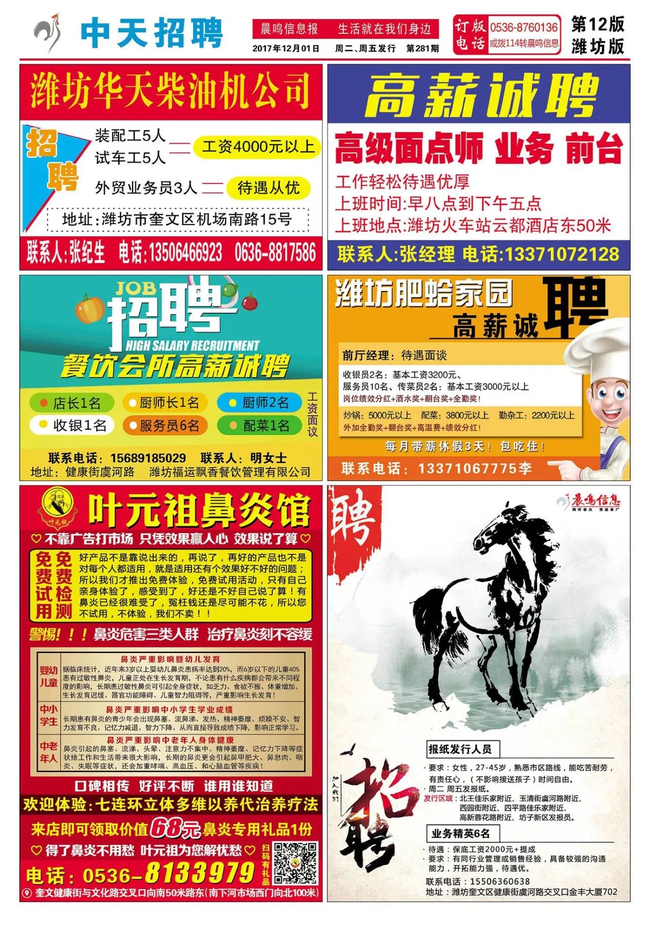 伊犁最新招聘信息网，启程寻找工作与内心的宁静之地