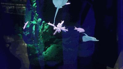 开心水族箱攻略最新，科技魅力下的梦幻海洋探险之旅