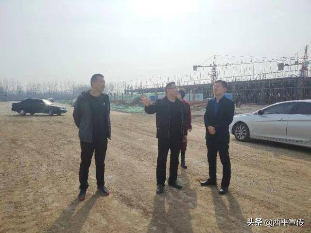 裴西平最新进展论述概述