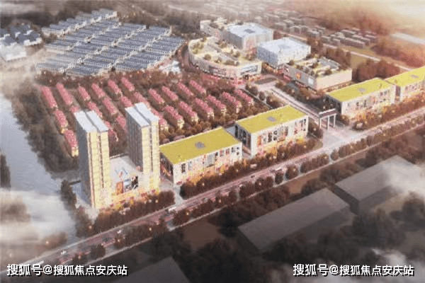 希努尔最新动态深度解析与观点阐述