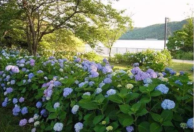 平庄能源最新动态，自然美景探索之旅，寻求内心平和与宁静的旅程