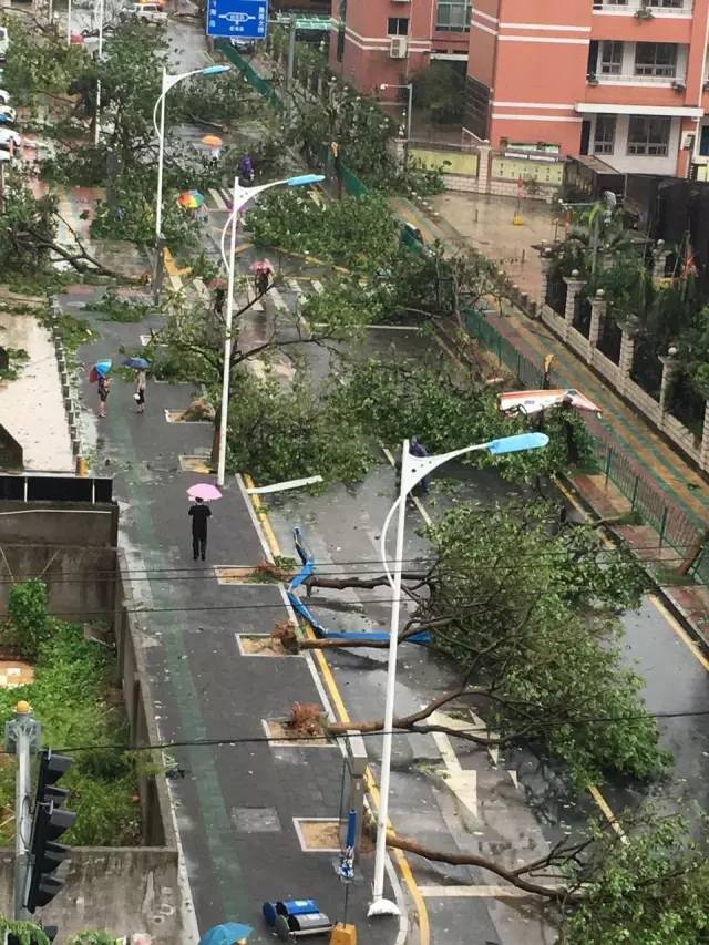 厦门台风最新消息更新（2019年）