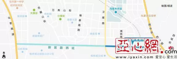 新医路西延最新动态，小巷中的意外发现与探秘