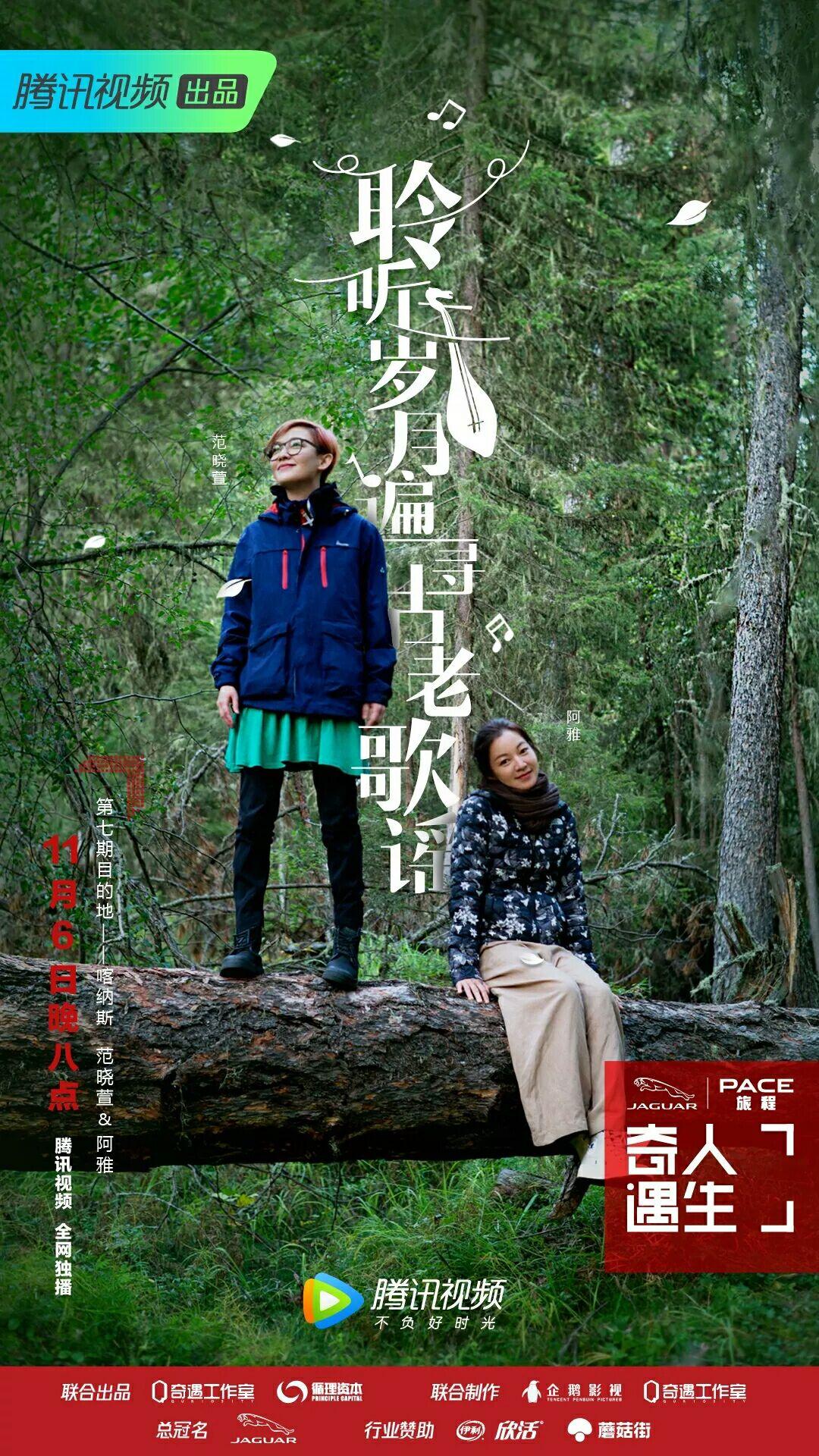 饥饿鲨最新中文破解版，鲨鱼小子的海洋冒险与友情之旅