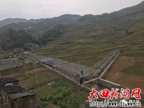 福建大田新闻最新动态，小巷深处的独特风味