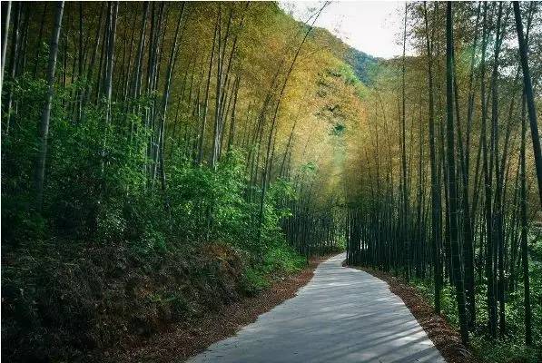 一夜沉沦，自然美景之旅，探寻内心宁静与平和的最新章节