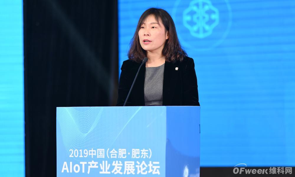 肥东县常委最新名单揭晓，小城故事背后的温情展现
