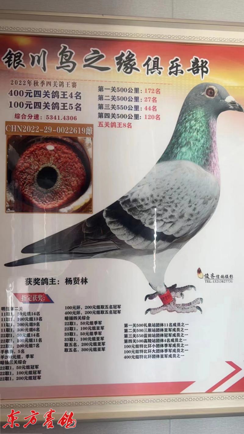 新疆大爱公棚最新公告发布，传递温暖展现大爱之心