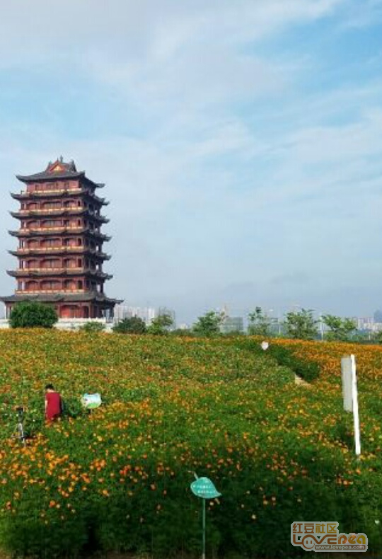 北流与玉林合并最新动态，自然美景之旅，探寻内心宁静与平和