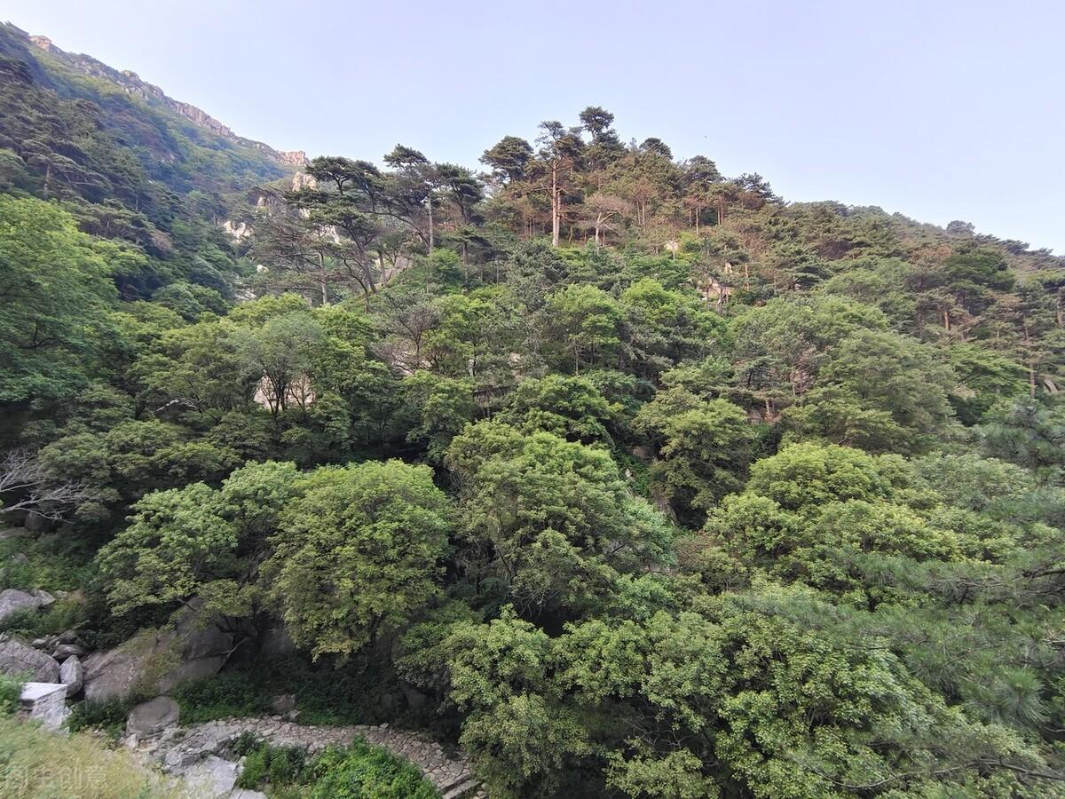 宝鸡东岭集团最新招聘启幕，成长之旅，展翅翱翔的机会！