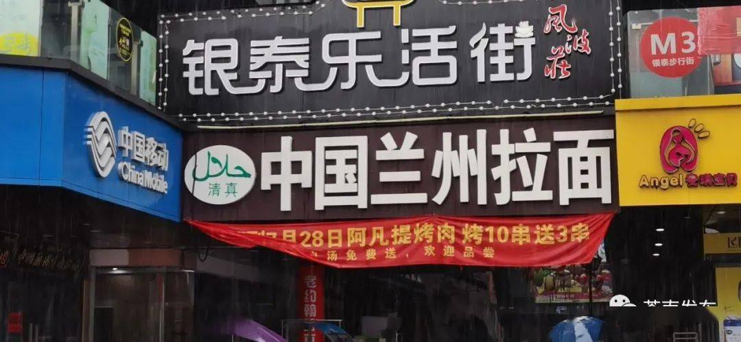 苍南招聘网最新招聘，小巷中的隐藏宝藏，独特环境等你来探索！