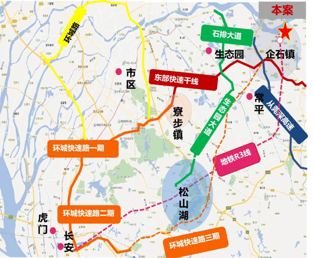 冯莹最新官方消息动态速递