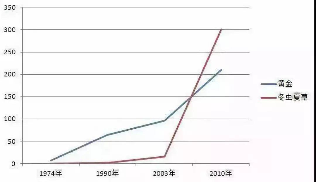 揭秘中国式骗局最新章节背后的真相！