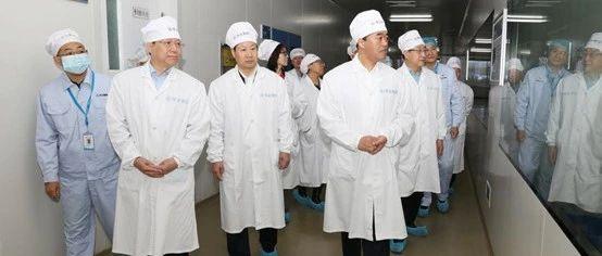 华北制药股票最新消息,华北制药股票最新消息