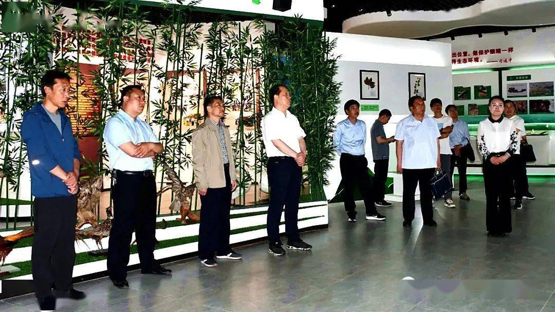南阳市长信箱最新留言,南阳市长信箱最新留言，城市里的温情故事