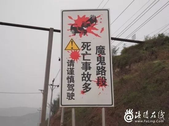 茶涪路最新动态，通往智慧与成就的大道