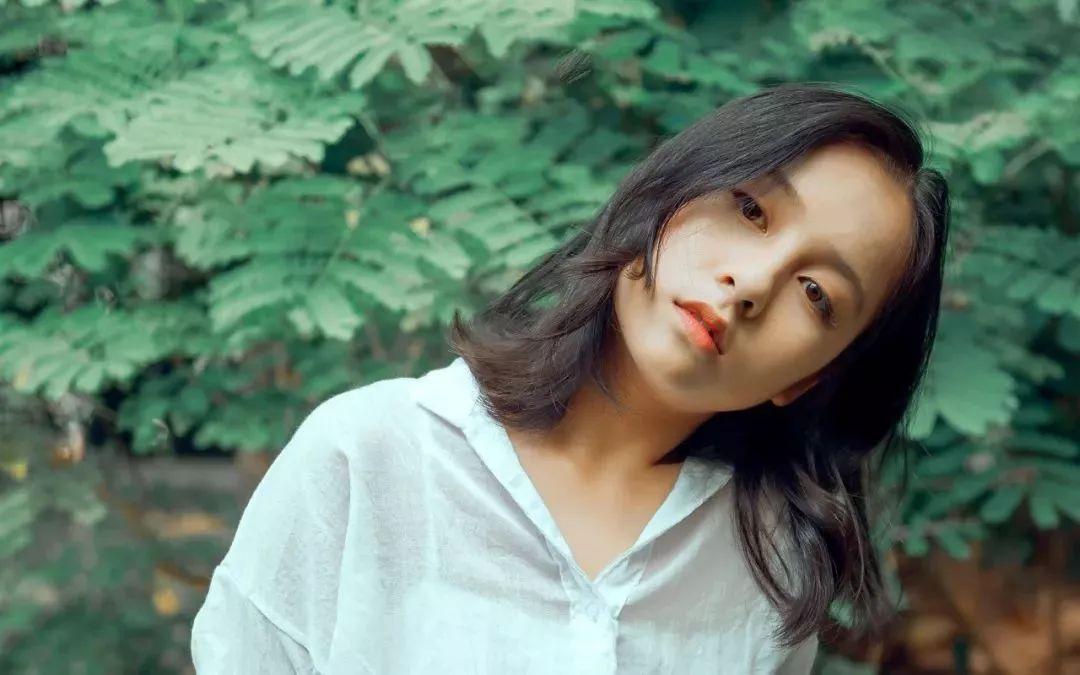 世界之花最新动态，与自然共舞，探寻内心平和的奇妙之旅