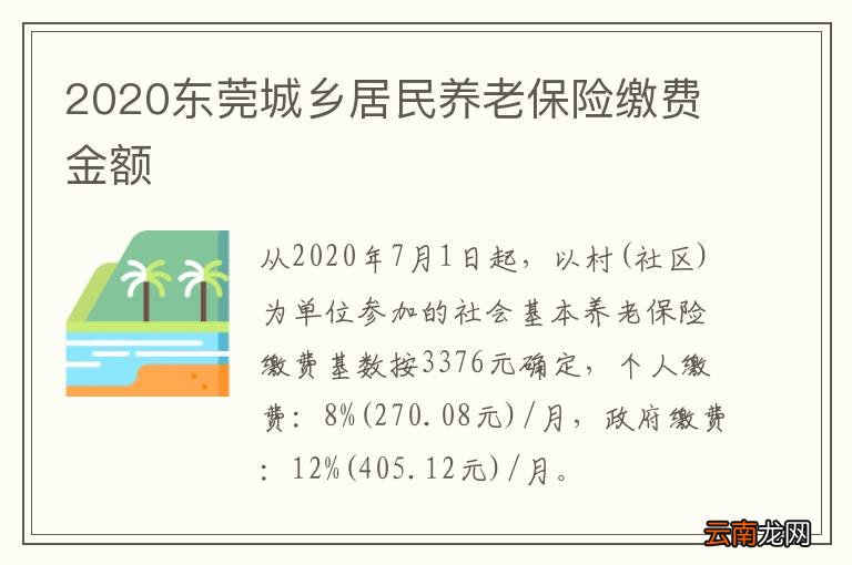 东莞统缴最新消息，温情友情背后的故事更新动态