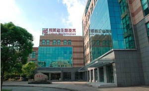 石岘纸业最新动态与小巷特色小店探秘