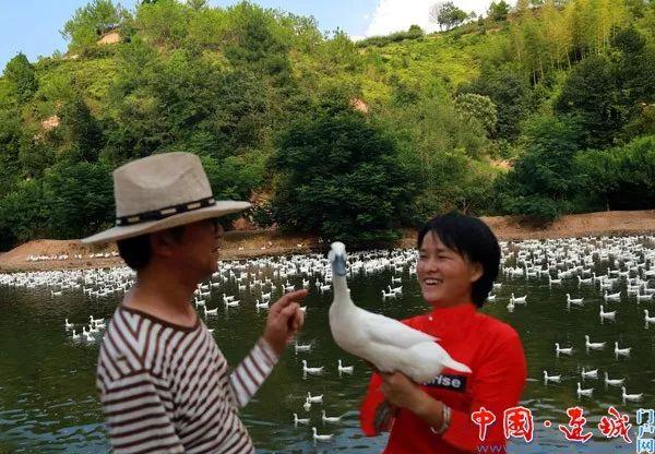厦门电子厂最新招聘,厦门电子厂最新招聘，一起踏上探索自然美景的旅程，寻找内心的平和宁静