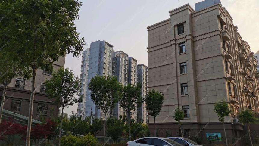 新泰东城田园全面了解与参与指南，最新消息速递