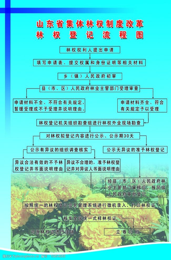 林区改革的最新动态更新，探索林区改革新进展