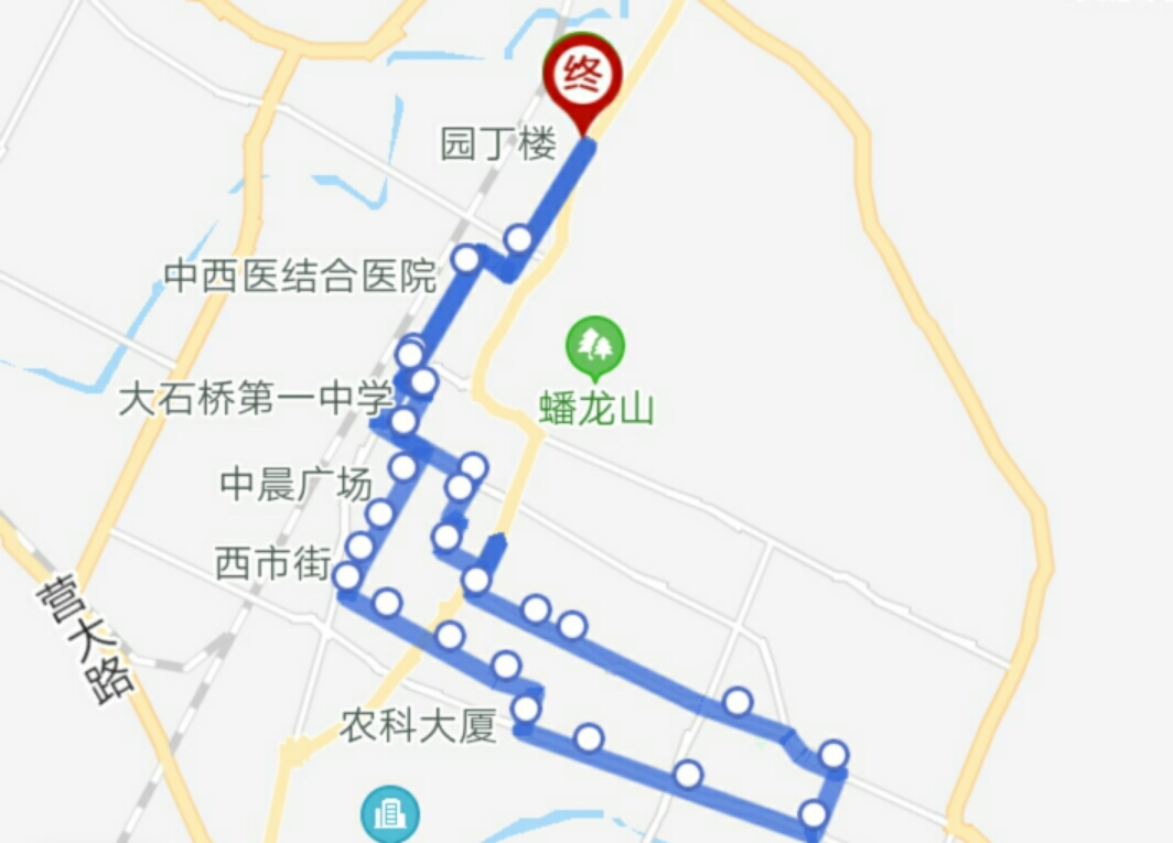 大石桥最新客运表,大石桥最新客运表，解析与观点阐述
