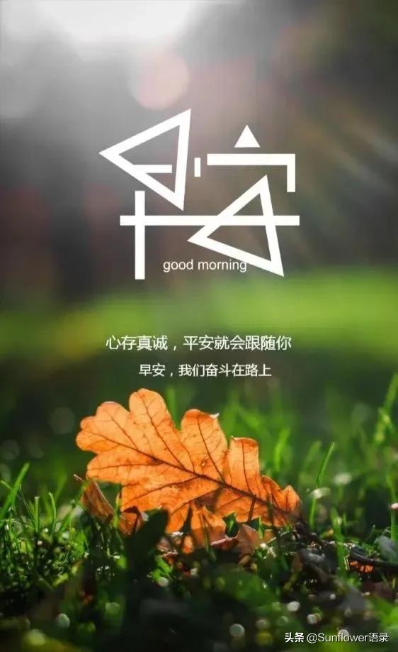 最新早安心语图片，开启美好一天的温馨启程