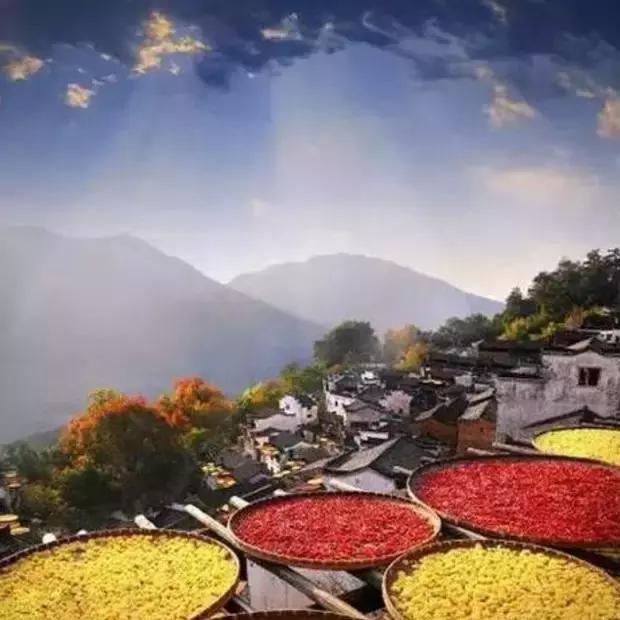 内心宁静之旅