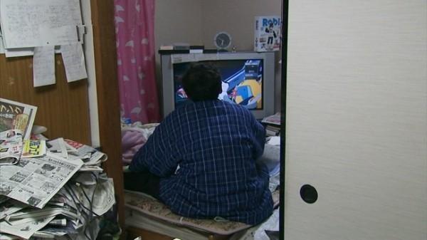 宅男频道最新探索，热门宅生活的新动态
