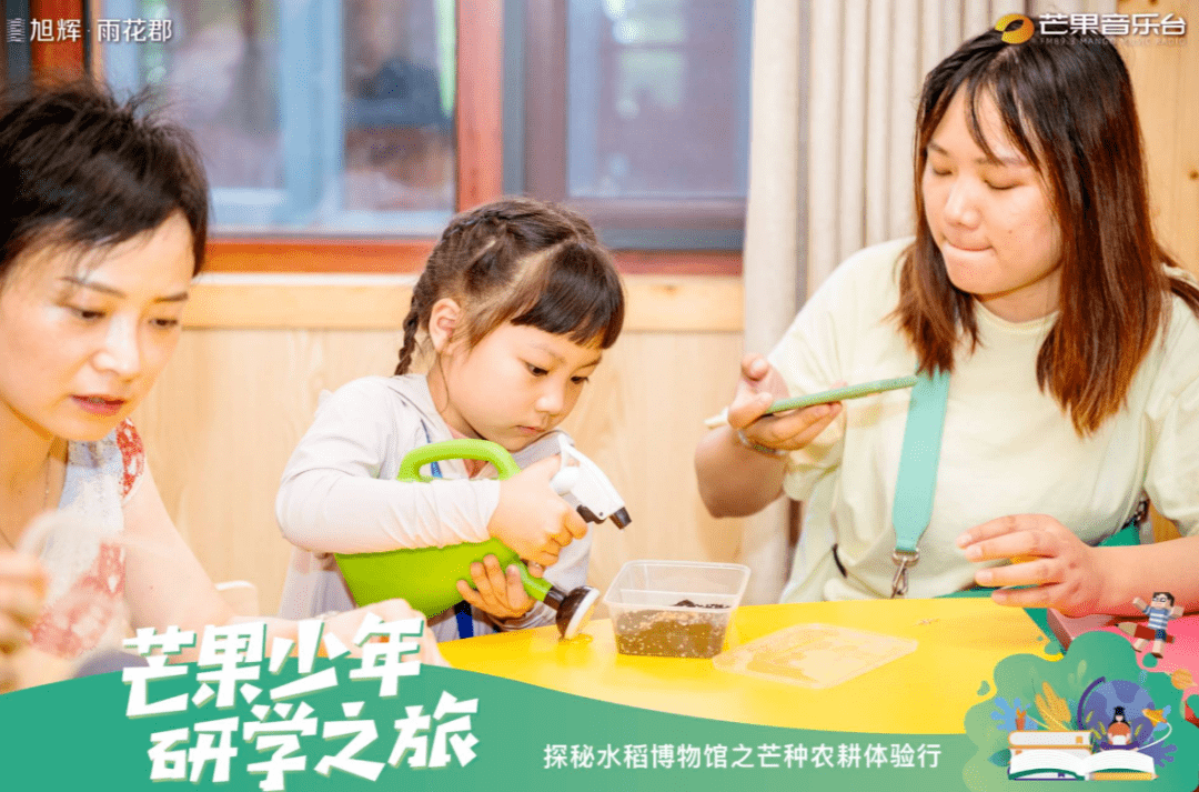 600698最新消息,600698最新消息，变化中的学习之旅，自信与成就感的源泉