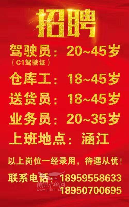 全面解析与观点阐述
