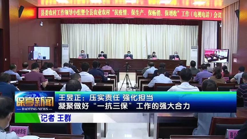 保亭最新新闻及其获取指南