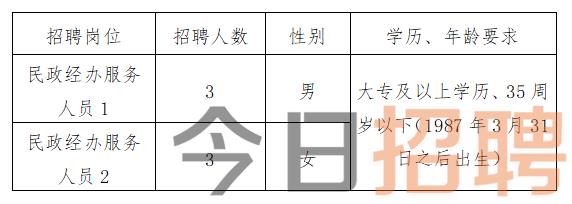 临颖最新招聘信息，时代的脉搏与地方机遇的交汇点