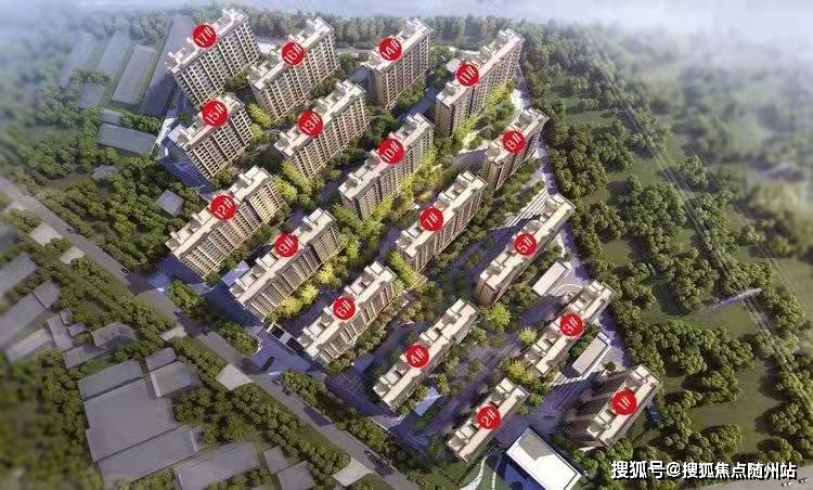 范县最新招聘信息概览与观点论述
