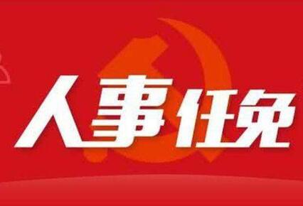 厦门最新人事任免消息及动态更新