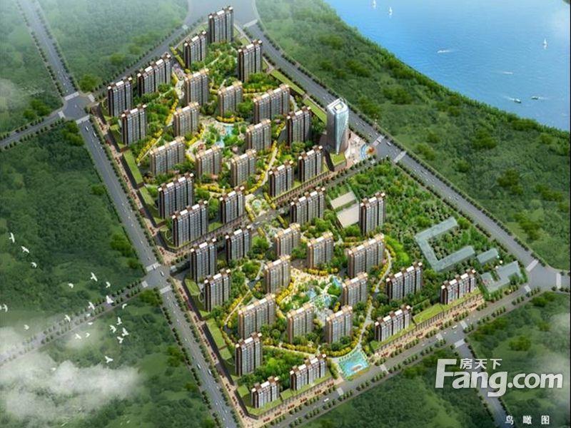 涞水楼盘最新动态，市场走势、正反观点与个人立场探讨
