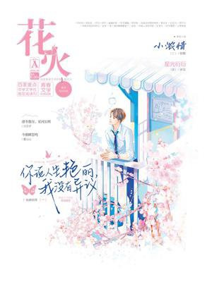 花火最新小说，燃烧激情，学习成就梦想